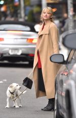 HALEY BENNETT Out with Her Dog in New York 11/01/2017