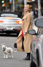 HALEY BENNETT Out with Her Dog in New York 11/01/2017