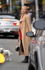 HALEY BENNETT Out with Her Dog in New York 11/01/2017