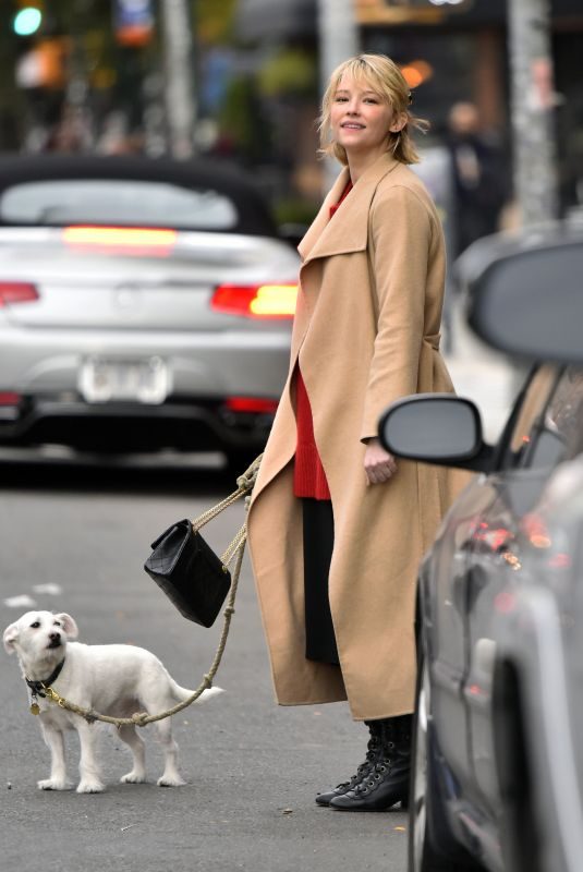 HALEY BENNETT Out with Her Dog in New York 11/01/2017