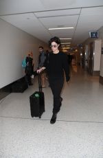 JAIMIE ALEXANDER at LAX Airport in Los Angeles 11/22/2017