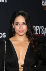 JEANINE MASON at 300th Grey’s Anatomy Episode Celebration in Hollywood 11/04/2017