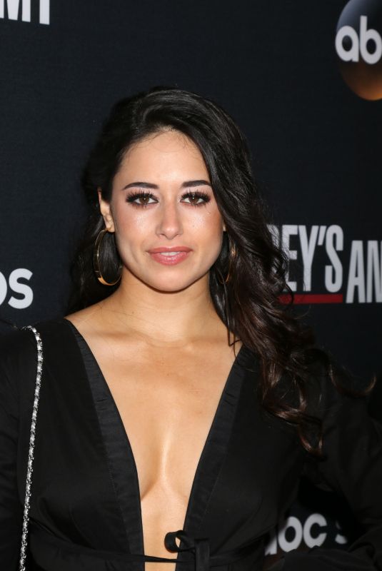 JEANINE MASON at 300th Grey’s Anatomy Episode Celebration in Hollywood 11/04/2017
