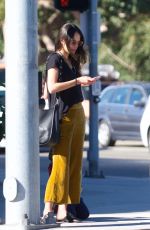 JORDANA BREWSTER Out for Lunch in Los Angeles 11/22/2017
