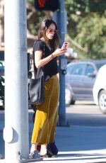 JORDANA BREWSTER Out for Lunch in Los Angeles 11/22/2017
