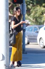 JORDANA BREWSTER Out for Lunch in Los Angeles 11/22/2017