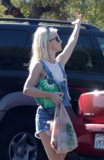 JULIANNE HOUGH Out Shopping in Hollywood 11/26/2017