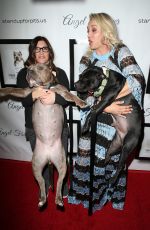 KALEY CUOCO 7th Annual Stand Up for Pitsin Hollywood 11/05/2017