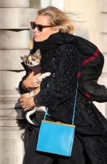 KATE MOSS Out with Her Dog in London 11/23/2017