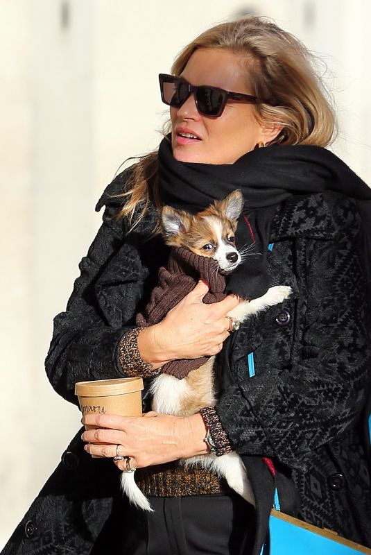 KATE MOSS Out with Her Dog in London 11/23/2017