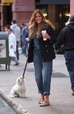 KELLY BENSIMON Out with Her Dog in New York 11/09/2017