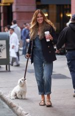 KELLY BENSIMON Out with Her Dog in New York 11/09/2017