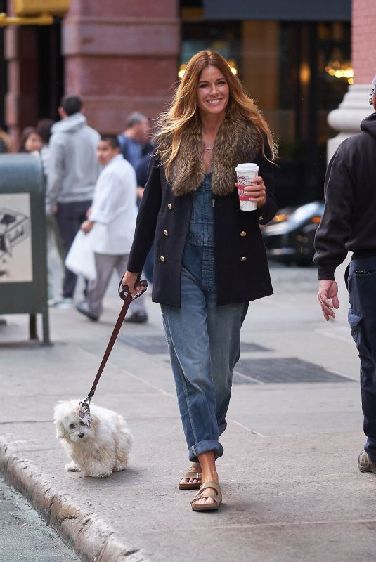 KELLY BENSIMON Out with Her Dog in New York 11/09/2017