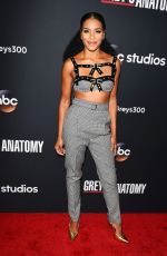 KELLY MCREARY at 300th Grey’s Anatomy Episode Celebration in Hollywood 11/04/2017