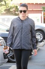 LEA MICHELE Shopping at Brentwood Country Mart 11/12/2017