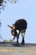LISA BONET Out with a Donkey and a Dog 11/06/2017