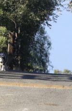 LISA BONET Out with a Donkey and a Dog 11/06/2017