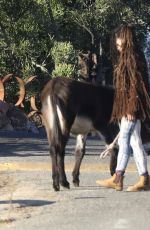 LISA BONET Out with a Donkey and a Dog 11/06/2017