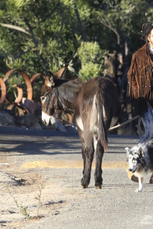 LISA BONET Out with a Donkey and a Dog 11/06/2017