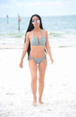 LISA OPIE in Bikini at a Beach in Miami 11/09/2017