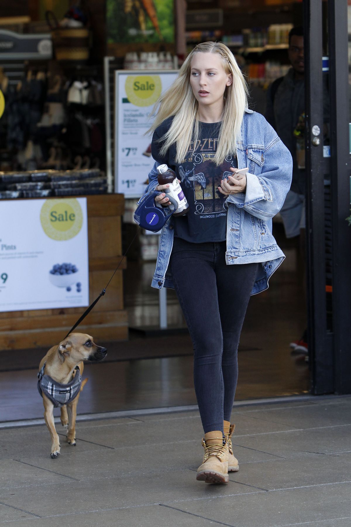 LORRAINE GILLES Walks Her Dog in Los Angeles 11/09/2017 - HawtCelebs