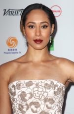 MARGOT BINGHAM at 2017 International Emmy Awards in New York 11/20/2017