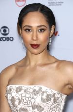 MARGOT BINGHAM at 2017 International Emmy Awards in New York 11/20/2017
