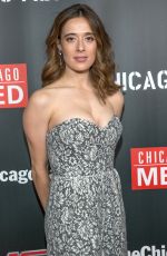 MARINA SQUERCIATI at 3rd Annual NBC One Chicago Party in Chicago 10/31/2017
