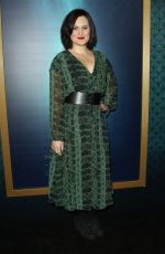 MARY CHIEFFO at The Shape of Water Premiere in Los Angeles 11/15/2017