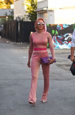 MELANIE BROWN Shows off New Pink Hair Out Shopping in Los Angeles 11/15/2017