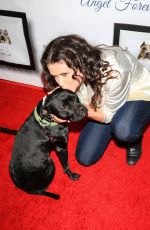 MELISSA PONZIO 7th Annual Stand Up for Pits at Avalon Nightclub in Hollywood 11/05/2017