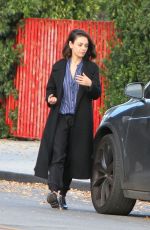 MILA KUNIS Out in Los Angeles 11/29/2017