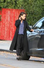 MILA KUNIS Out in Los Angeles 11/29/2017
