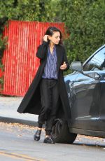 MILA KUNIS Out in Los Angeles 11/29/2017