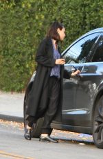 MILA KUNIS Out in Los Angeles 11/29/2017