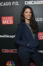MIRANDA RAE MAYO at 3rd Annual NBC One Chicago Party in Chicago 10/31/2017