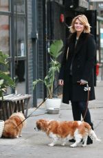 MISCHA BARTON Walks Her Dogs in New York 11/13/2017