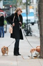 MISCHA BARTON Walks Her Dogs in New York 11/13/2017
