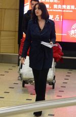 MONICA BELLUCCI Arrives at Airport in Sydney 11/23/2017