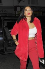 NICOLE SCHERZINGER Out and About in London 11/26/2017