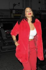 NICOLE SCHERZINGER Out and About in London 11/26/2017