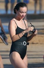 OLIVIA WILDE in Swimsuit at a Beach in Hawaii 11/26/2017