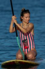 OLIVIA WILDE in Swimsuit Paddleboarding in Hawaiian 11/20/2017
