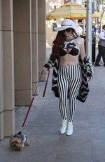 PHOEBE PRICE Out in Beverly Hills 11/03/2017