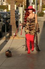 PHOEBE PRICE Out with Her Dog in Los Angeles 11/15/2017