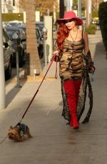 PHOEBE PRICE Out with Her Dog in Los Angeles 11/15/2017