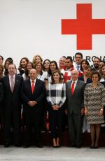 QUEEN LETIZIA OF SPAIN at Red Cross Building in Mexico City 11/13/2017