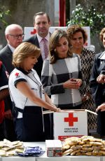 QUEEN LETIZIA OF SPAIN at Red Cross Building in Mexico City 11/13/2017