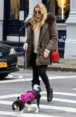 RACHEL HILBERT Out with Her Dog in New York 11/14/2017