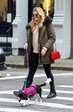 RACHEL HILBERT Out with Her Dog in New York 11/14/2017